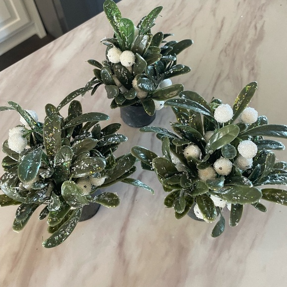 SET OF 3 MINI WINTER BERRY ARRANGEMENTS - Picture 8 of 8